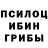 Галлюциногенные грибы Psilocybine cubensis ikichullo