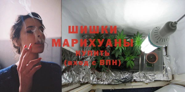 ГАЛЛЮЦИНОГЕННЫЕ ГРИБЫ Белокуриха