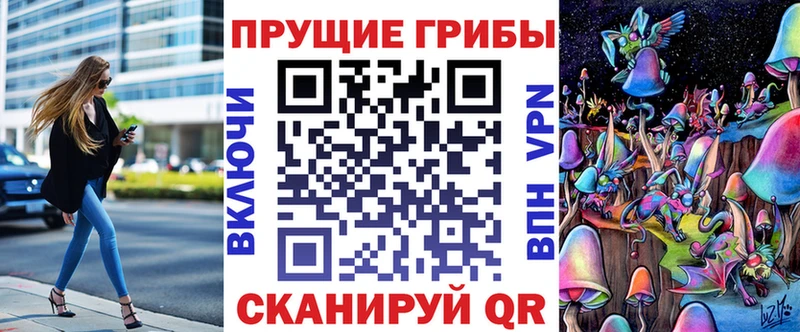 omg зеркало  Давлеканово  Псилоцибиновые грибы мицелий 